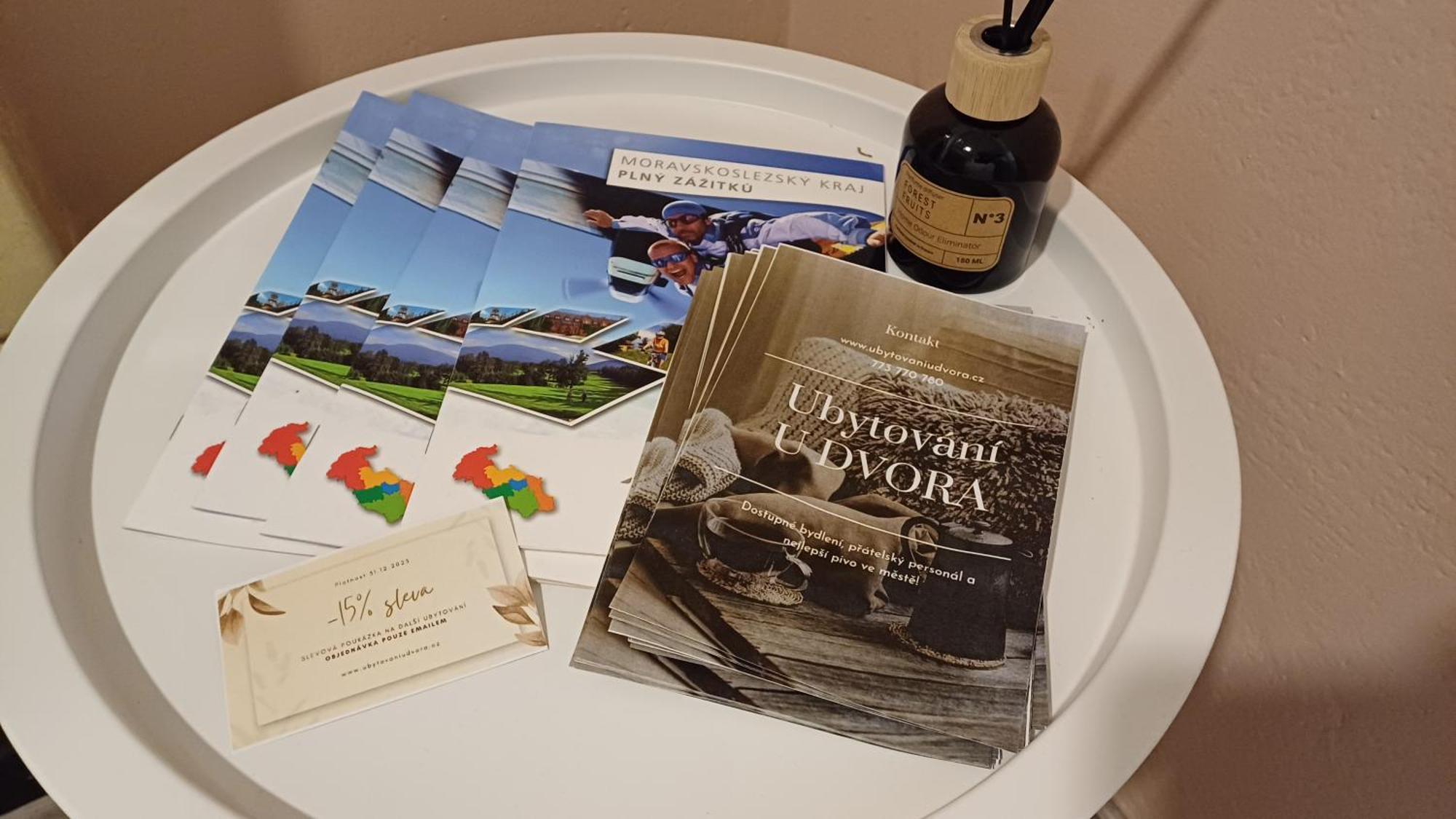 Apartment U Dvora *